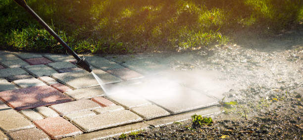 Animal Enclosure Cleaning in Ocean Gate, NJ